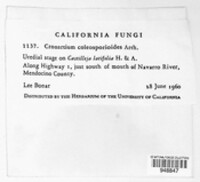 Image Associated With the Occurence